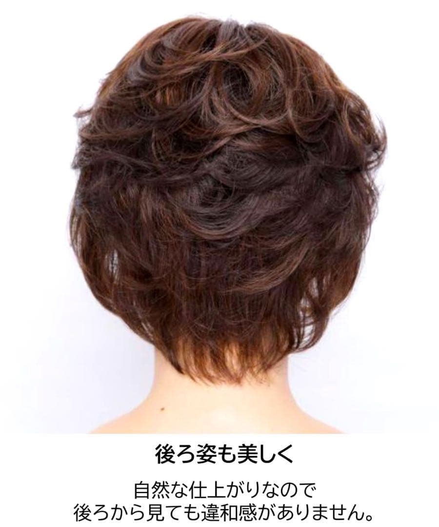 坂巻哲也フルウィッグ　人毛ミックス