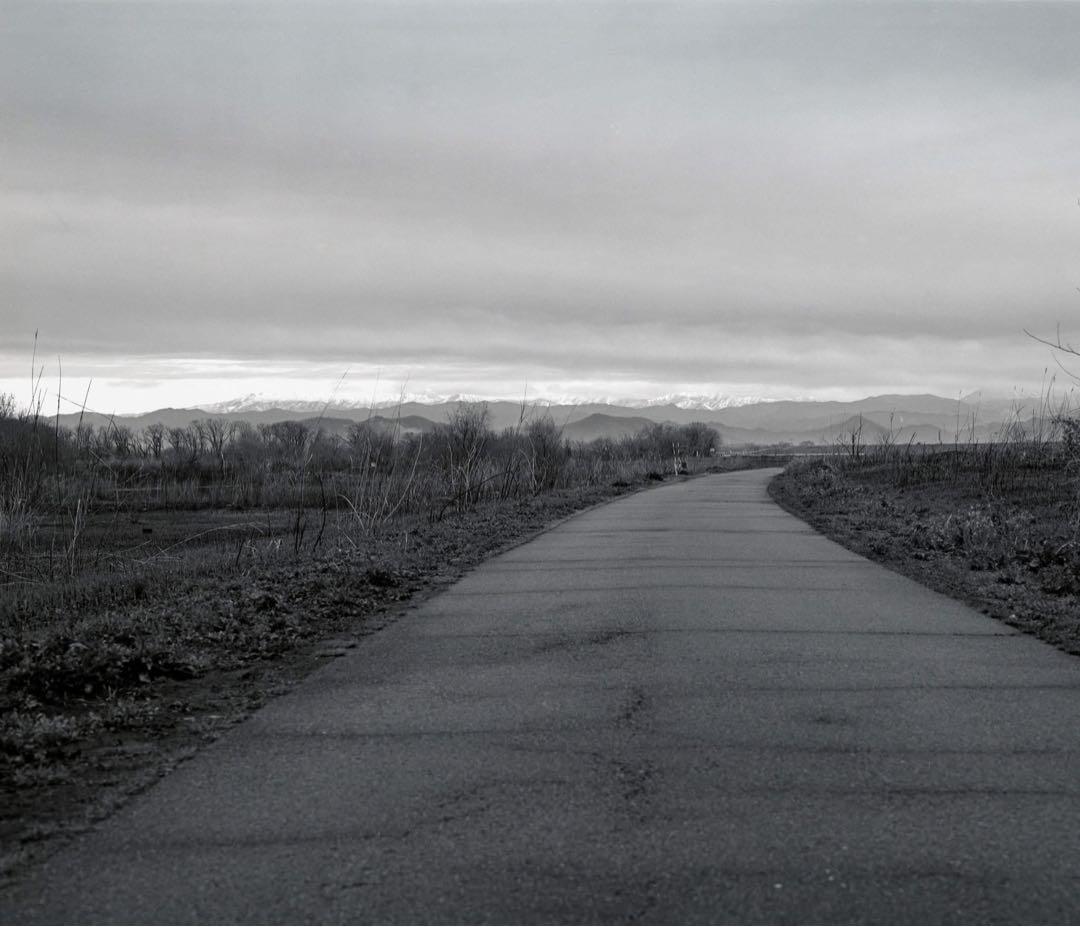 マミヤRB67 セコール127mm3.8 作例有り