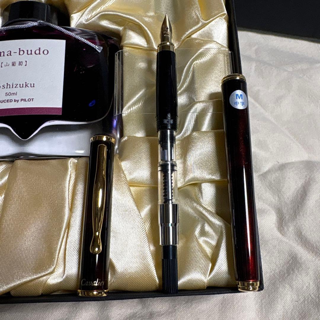 PILOT 万年筆・やまぶどうインクセット