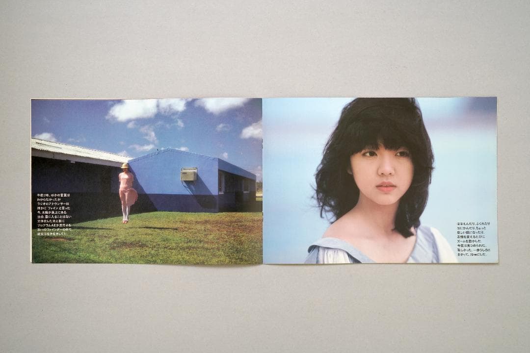 キヤノン　全自動一眼レフフイルムカメラ　T-50　オートマン　カタログ　A