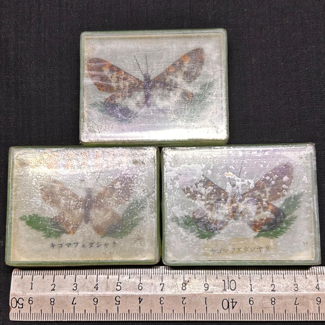 ▽Ca右318▼ レア パチンコ 特殊景品 昆虫 標本 蝶 蛾 14点まとめ