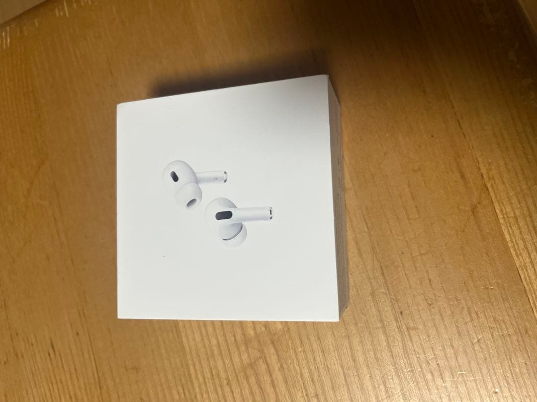AirPods Pro2 2024年12月頃購入 イヤーチップLサイズ無し