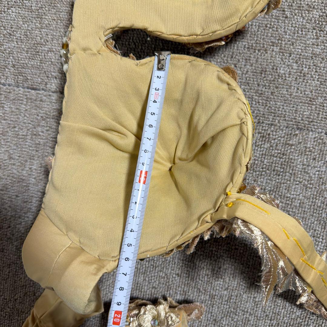 ベリーダンス用ゴールドセットアップ UAE Arabia style