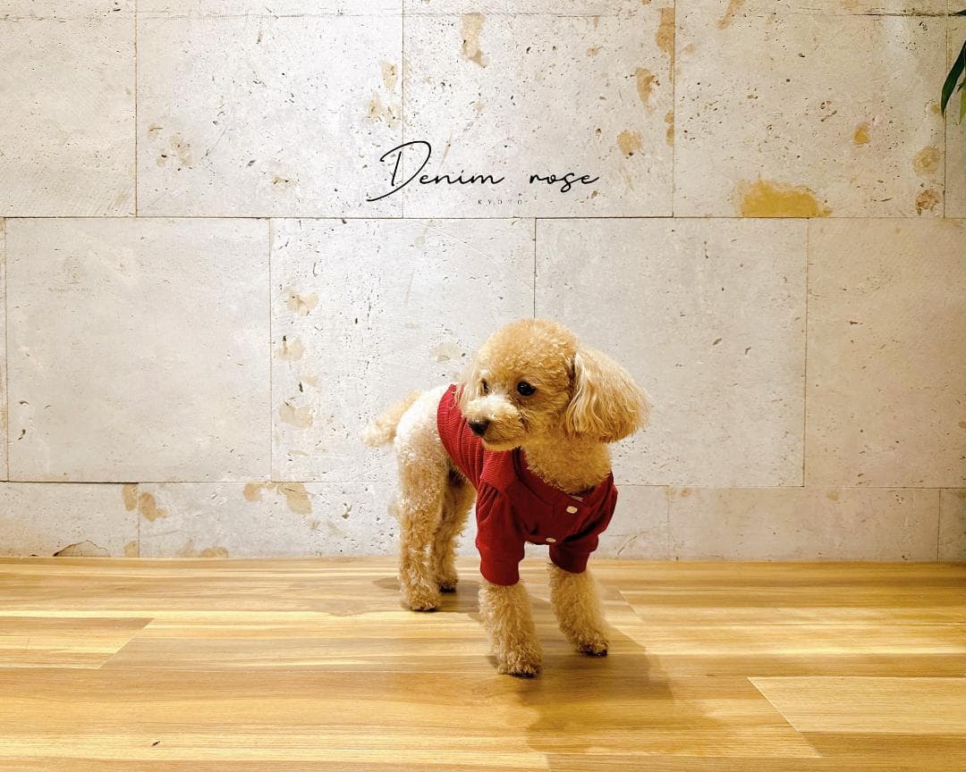 DENIM ROSE ワッペンカーディガン