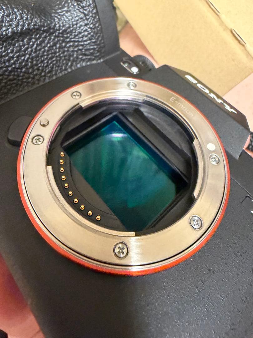 超美品 SONY ミラーレス一眼 a7RV ボディ