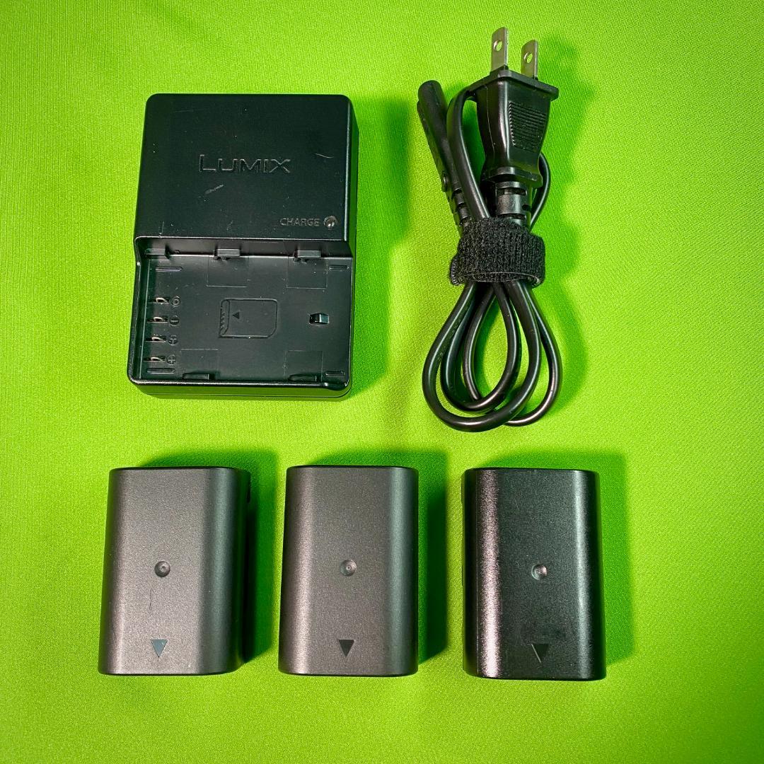 LUMIX GH4 ミラーレスカメラ 4K 動画 音+映像+光 付属品フルセット