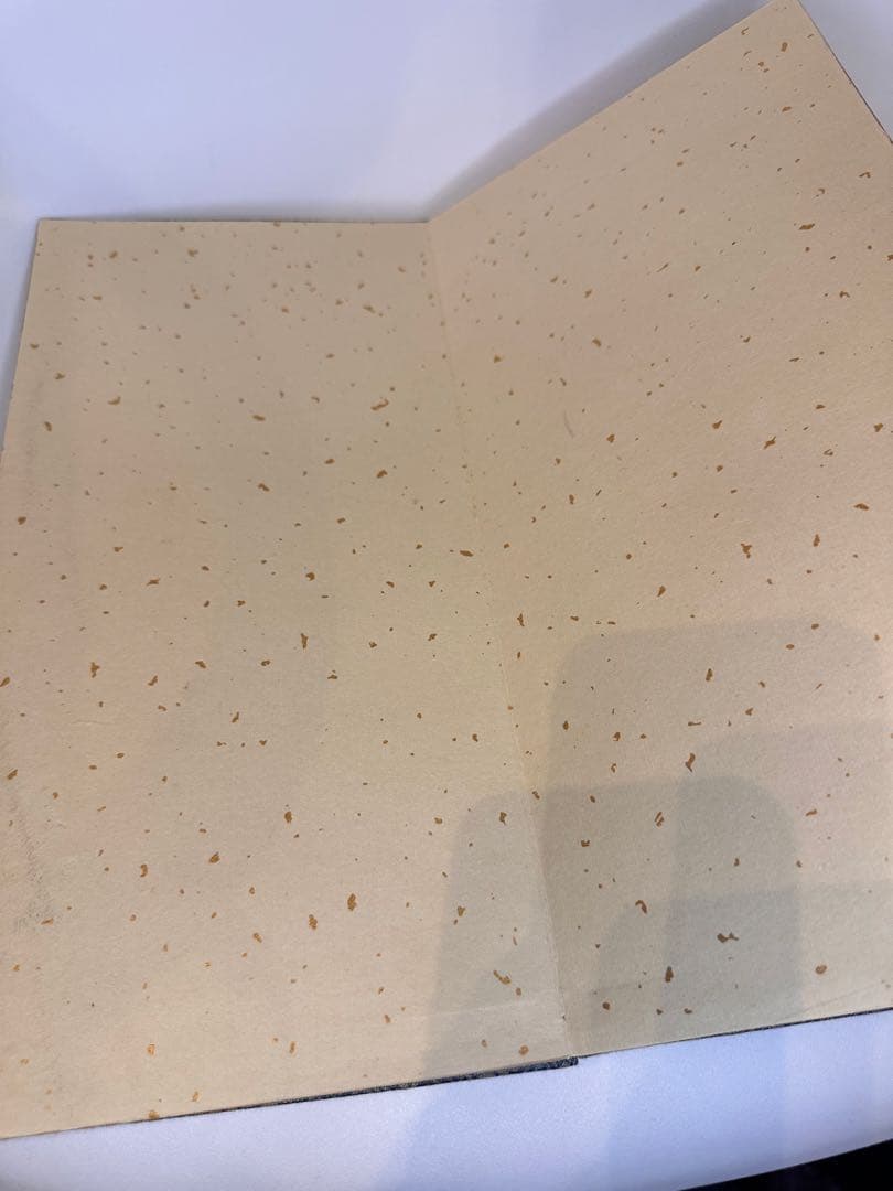 呉昌碩　花卉冊　中国書画　古董