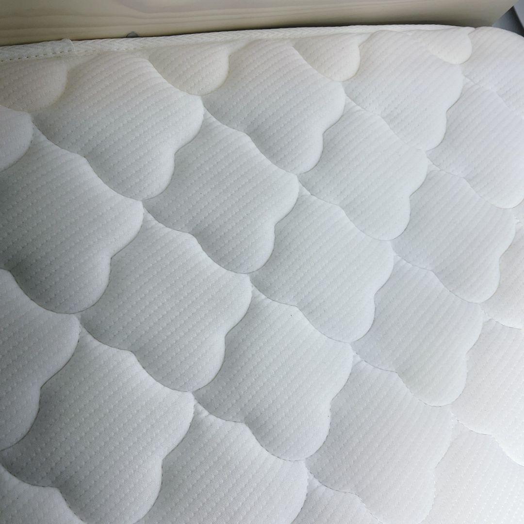 ムク　フレームのみ　3月3日配達