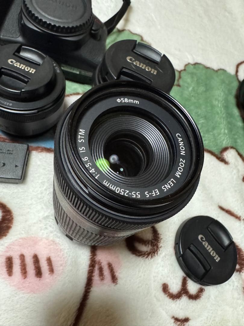 Canon kiss10iとレンズセット