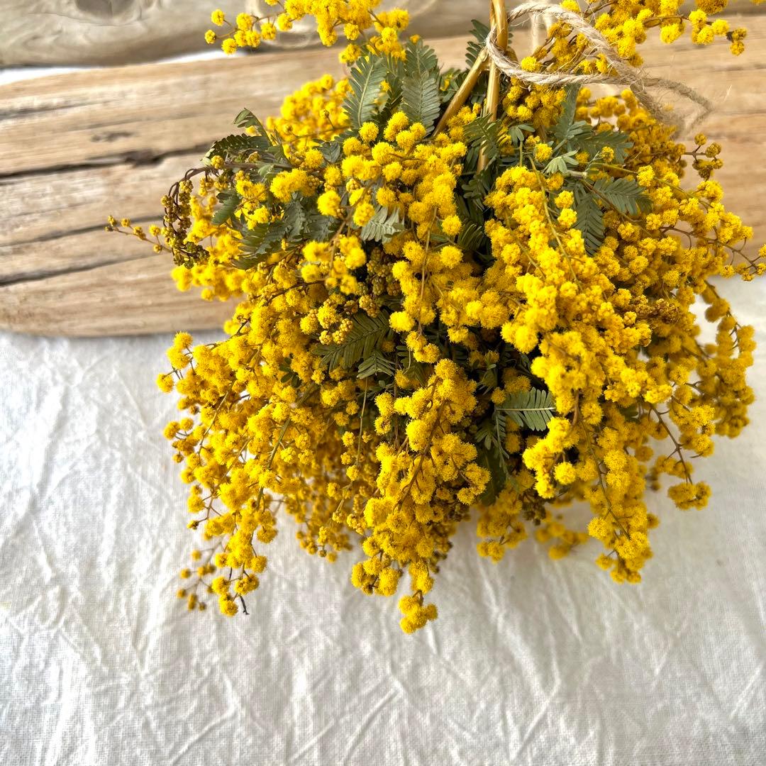 ミモザリース　ミモザボール　ミモザフライングリース　ミモザフライングスワッグ