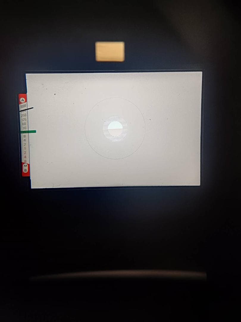 超美品 NIKON FE シルバー フィルムカメラ モルト新品交換済 M591