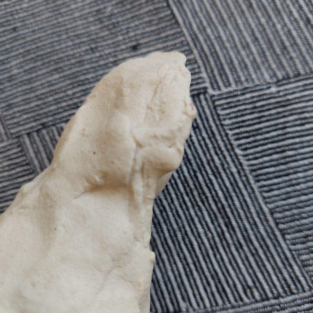 吉田二朗さん 【トルソー】