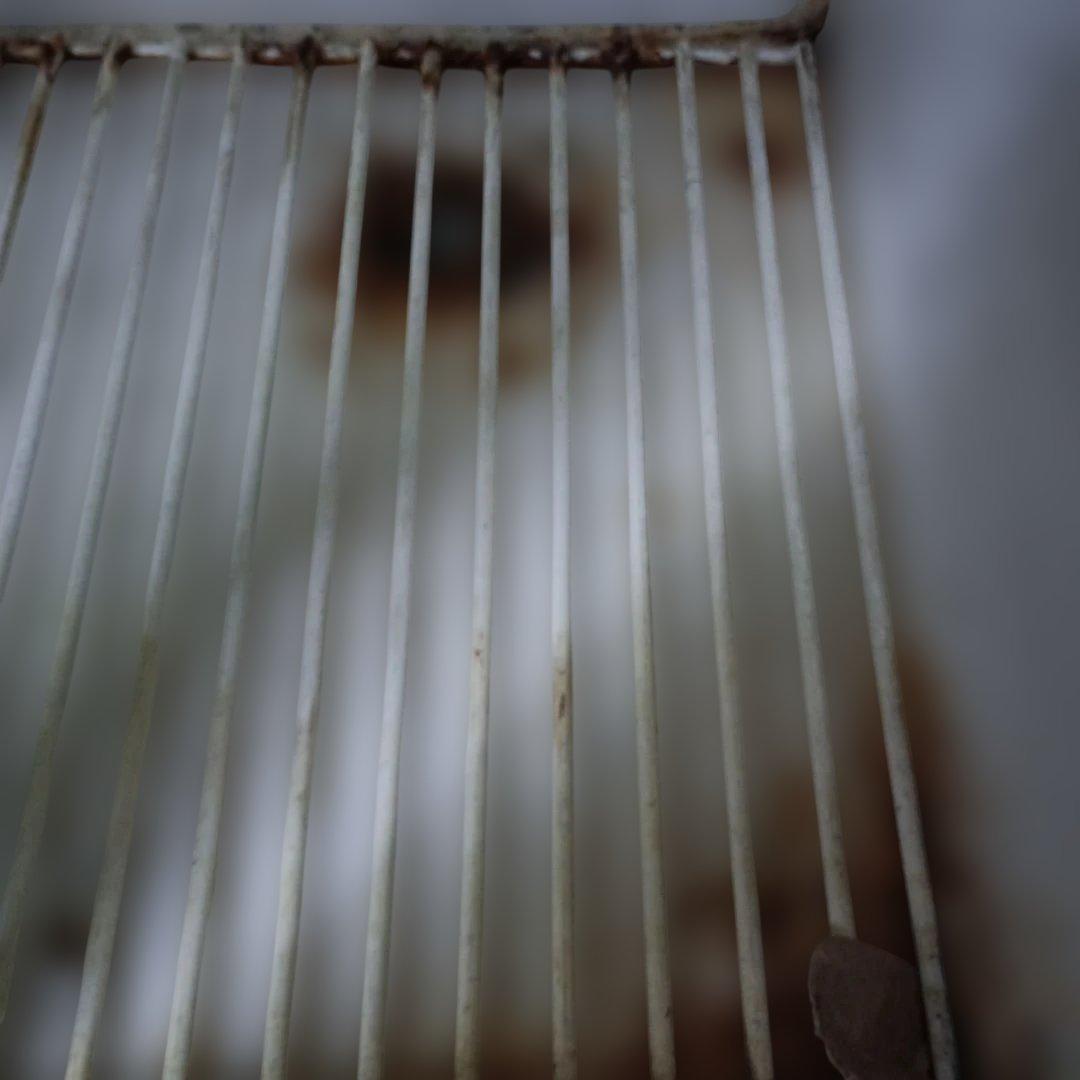 ４９６４）サンデン冷蔵ショーケース　１６６L MUS-84XB／直接渡し限定商品