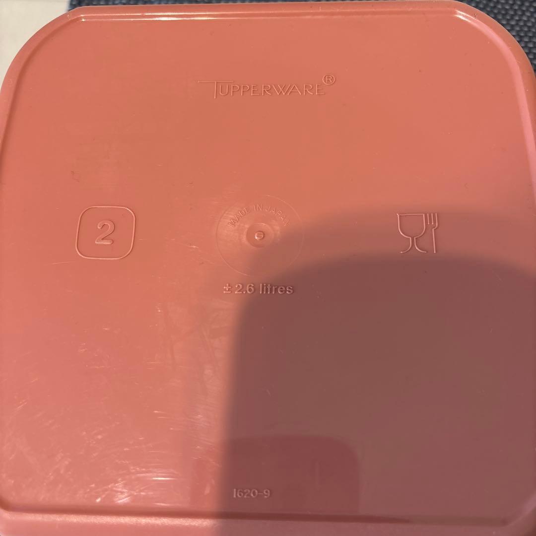 タッパーウェア　プラスチック製保存容器 2個セット　ケース