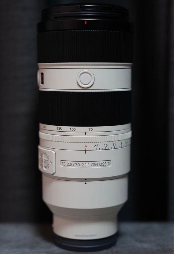 「鹿島馬様 」専用SONY FE 70-200mm F2.8 GM OSS II