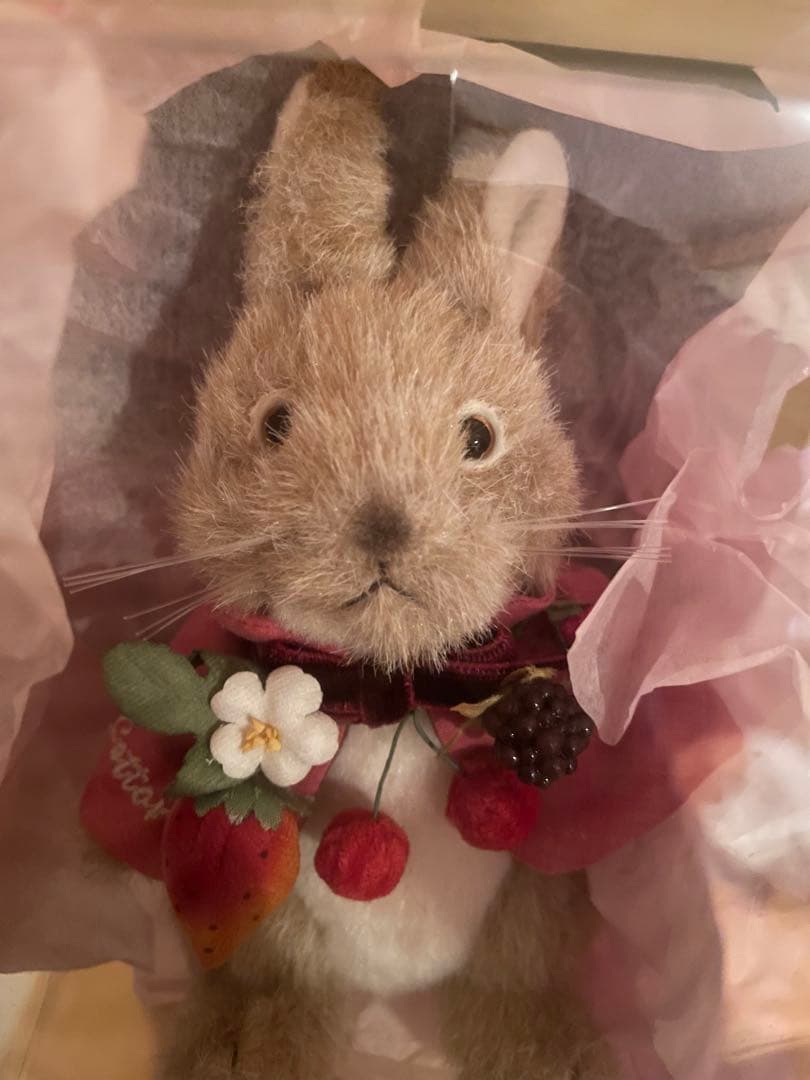 ピンクハウス　カトンテール