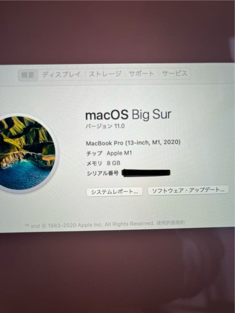 【方充電回数5回100%】MacBook Pro M1 8GB 256GB