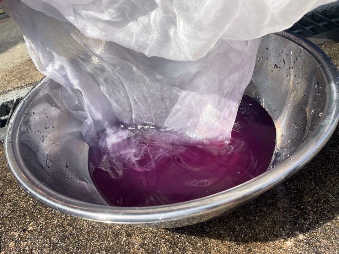 奥能登育ち　紫根　種　40粒＋　絶滅危惧種　染色