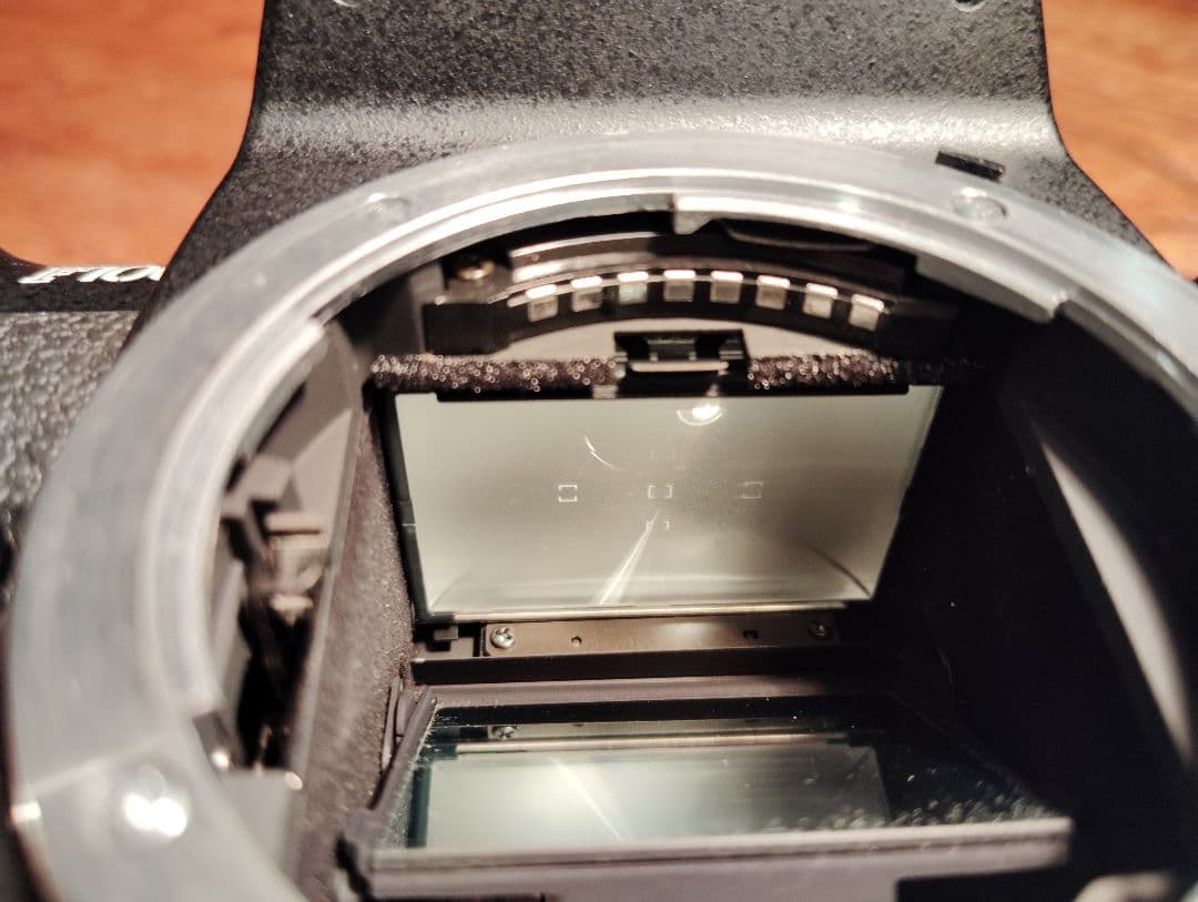 Nikonf100 本体のみ