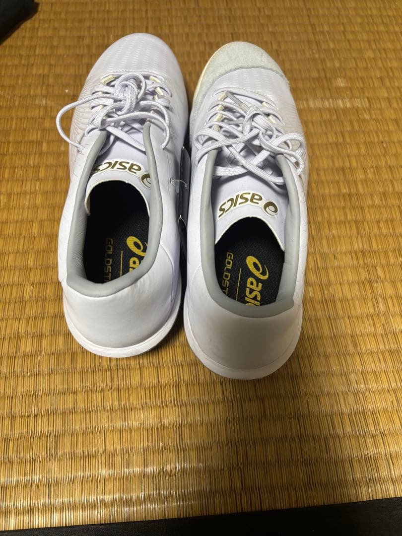 シューズ asics GOLDSTAGE MA2 28.0 cm