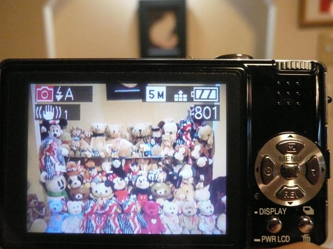 LUMIX★DMC-FX8⭕️安心実働品★人気のブラック