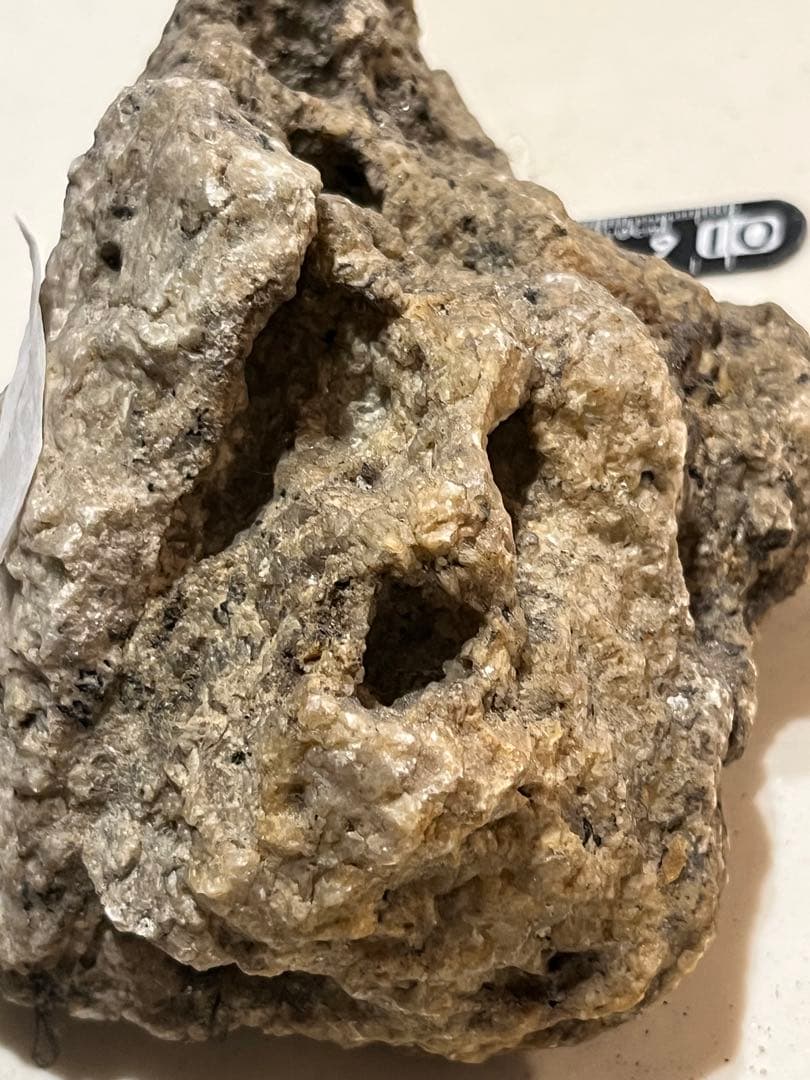 C 南極 南極の石 しらせ  昭和基地 南極観測船　ふじ