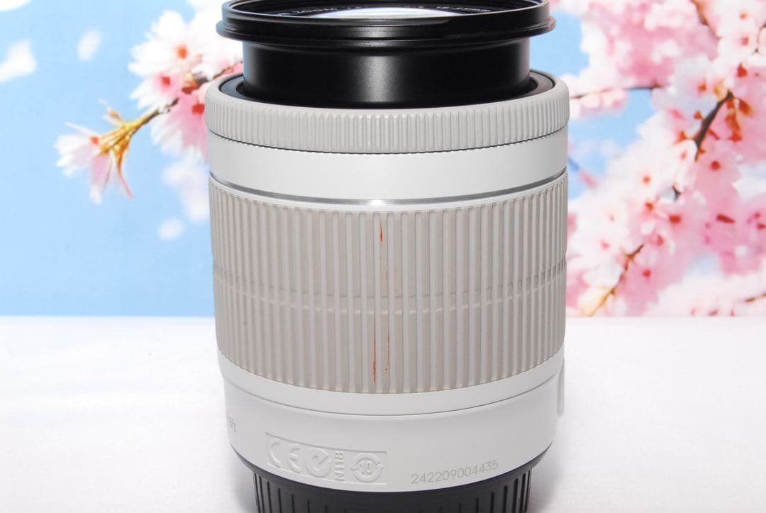 レンズ2本付き❤️Canon Kiss X7❤️ホワイト❤️ダブルレンズキット