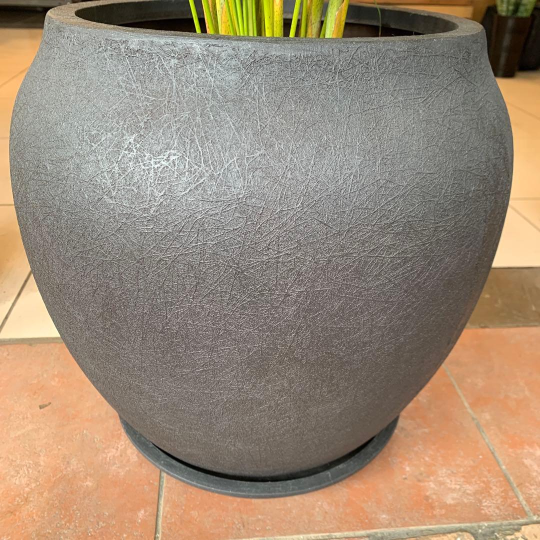 アレカヤシ ファイバー鉢 お皿付き