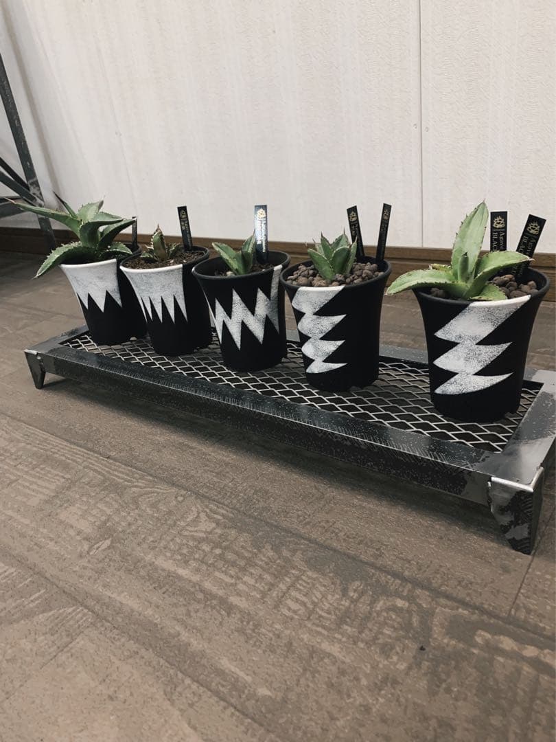 ☆送料込み☆無骨ラック即購入OK 男前　プランターラック　多肉植物　アガベ　什器