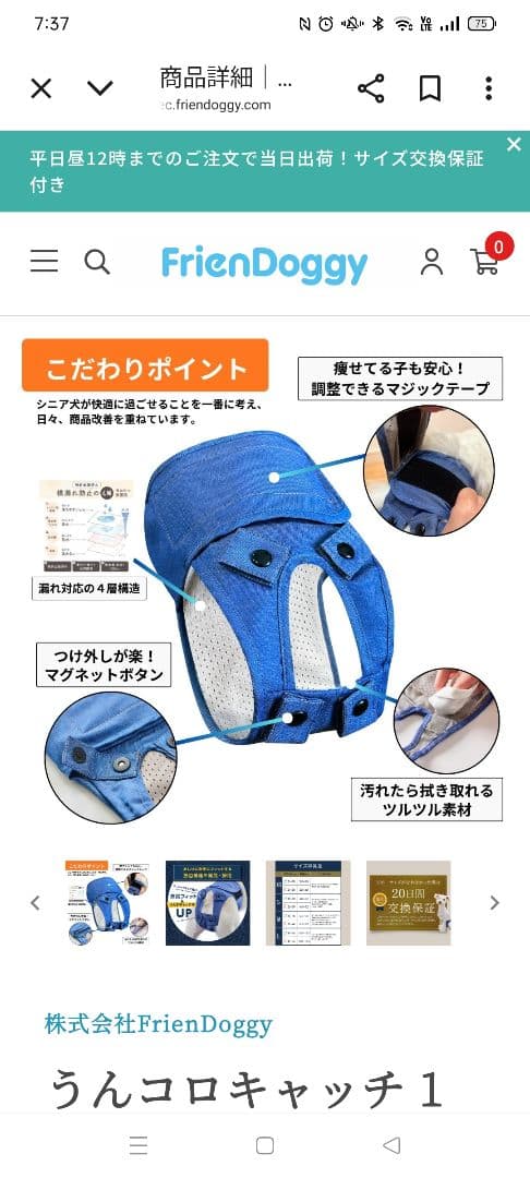 うんコロキャッチМ2枚　新品　おまけ付き