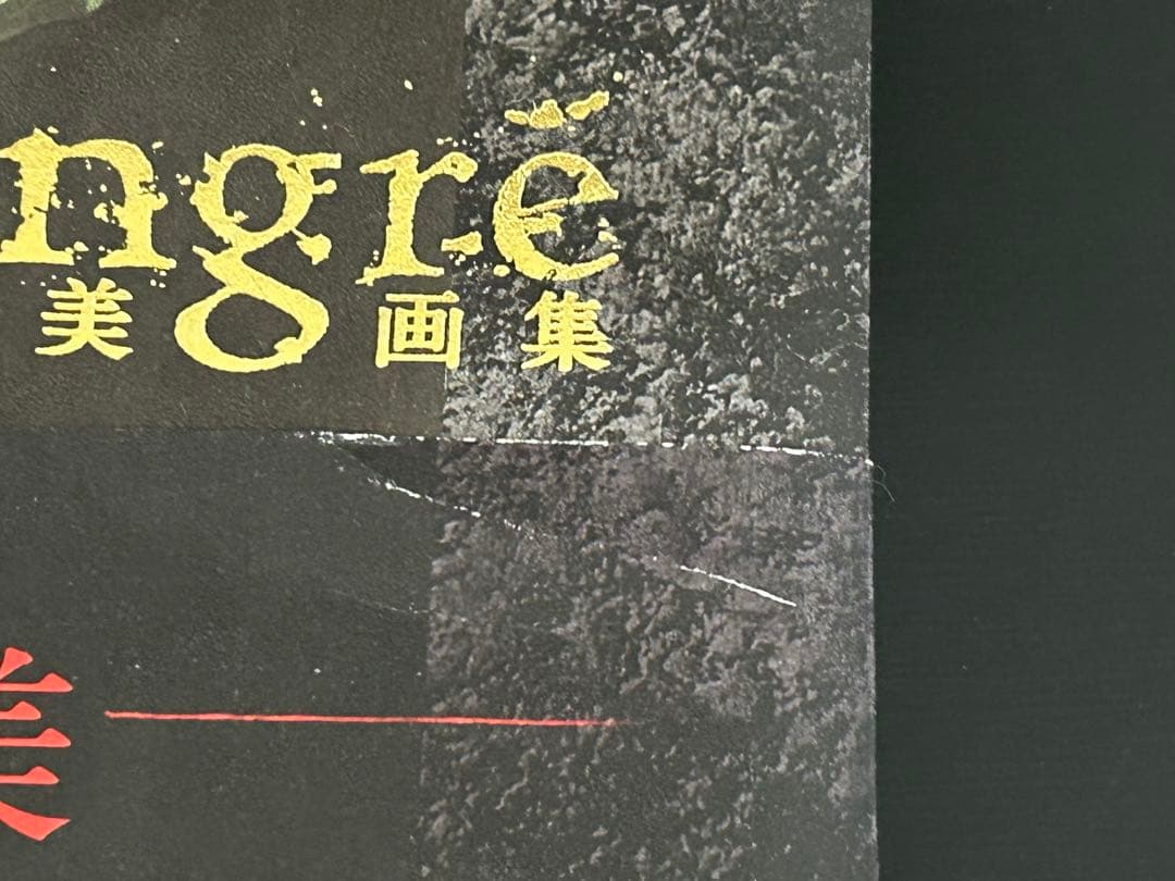 小島文美 画集 緋いユリ Santa Lilio Sangre