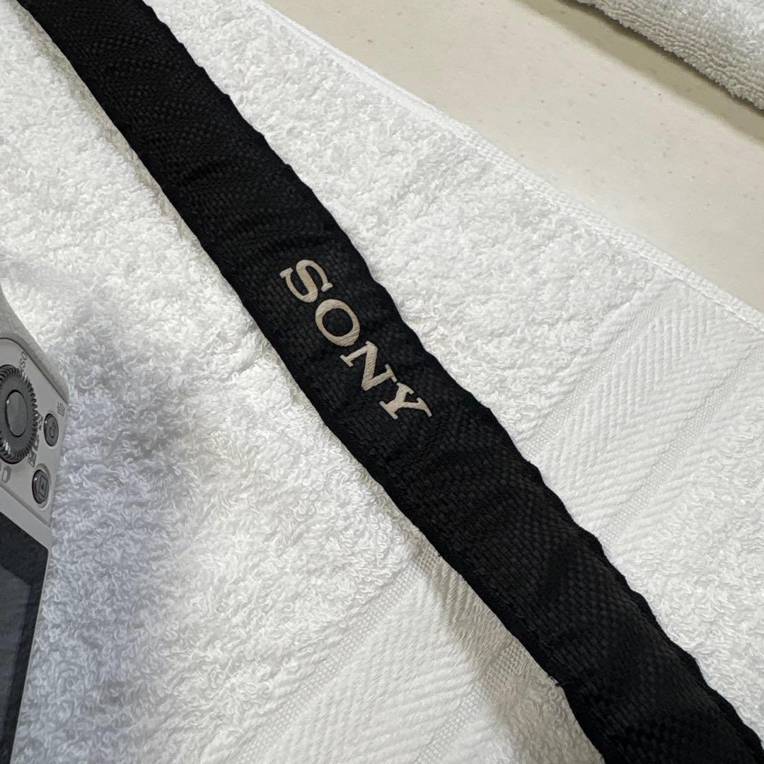 SONY α 6000 ミラーレス一眼　値下不可