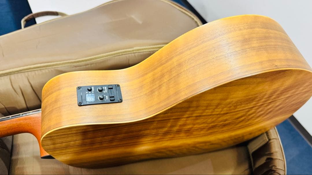 最終価格 Taylor GS Mini 限定 walnut