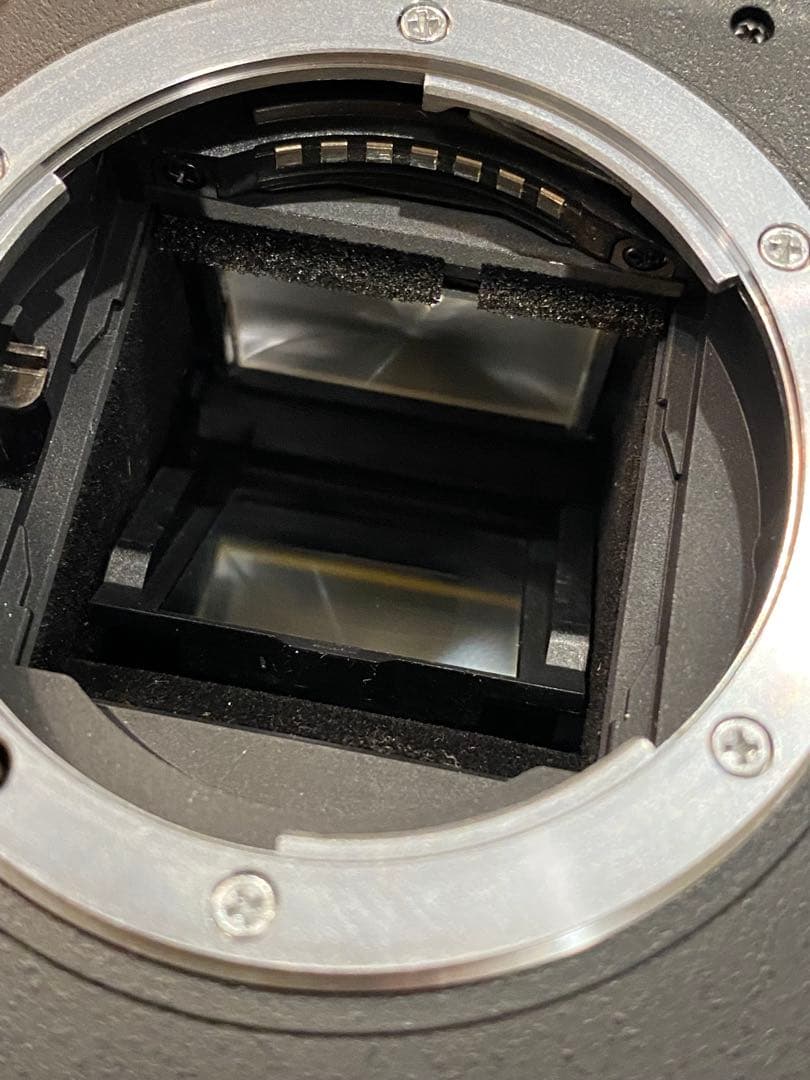 Nikon D80 デジタル一眼レフ　ボディとバッテリー