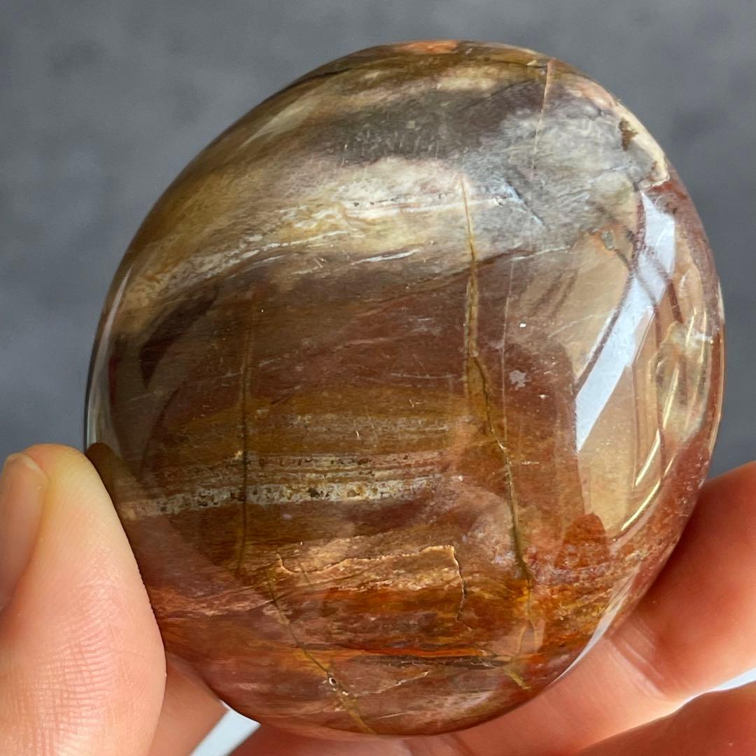 ペトリファイド ウッド パー握り石 珪化木 マダガスカル産
