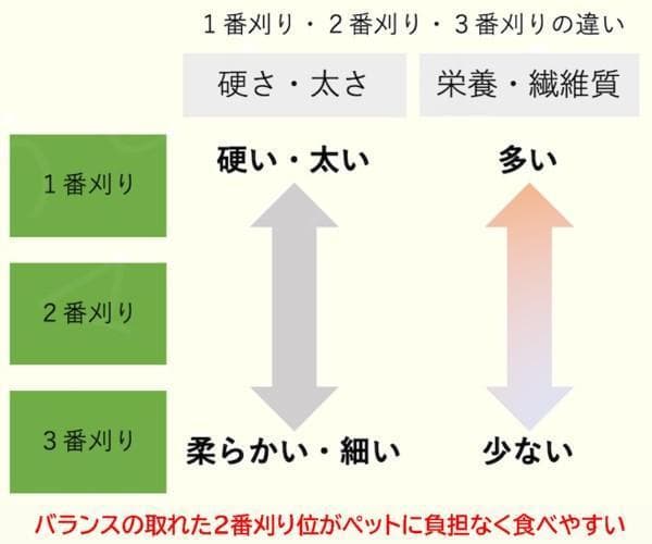 【12/30まで】US産 チモシー 60kg ２番刈 ソフトSプレミアム