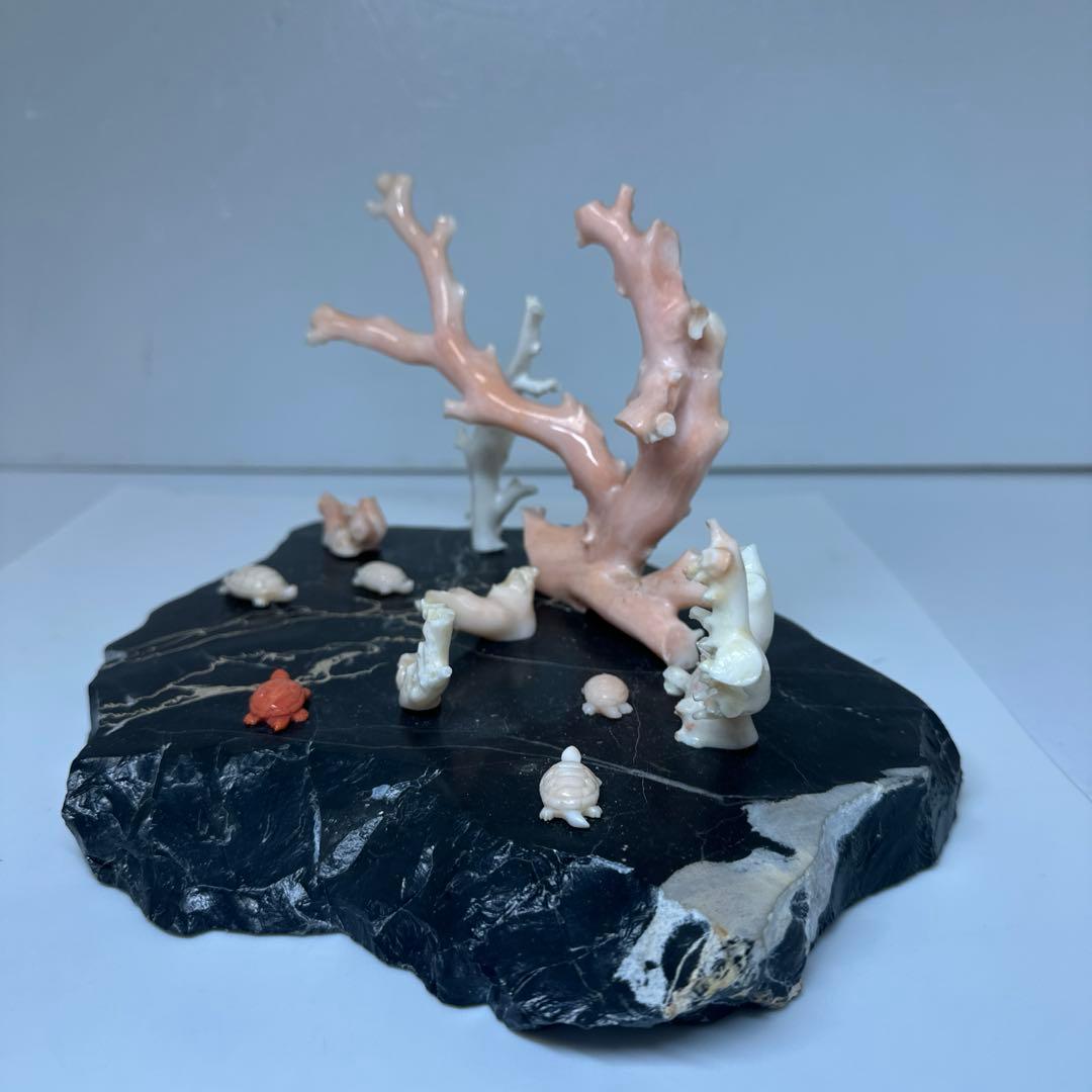 本ぼけ珊瑚　極太原木　赤珊瑚カメ　置物　約291gトコエ　東さ8-0104☆1F