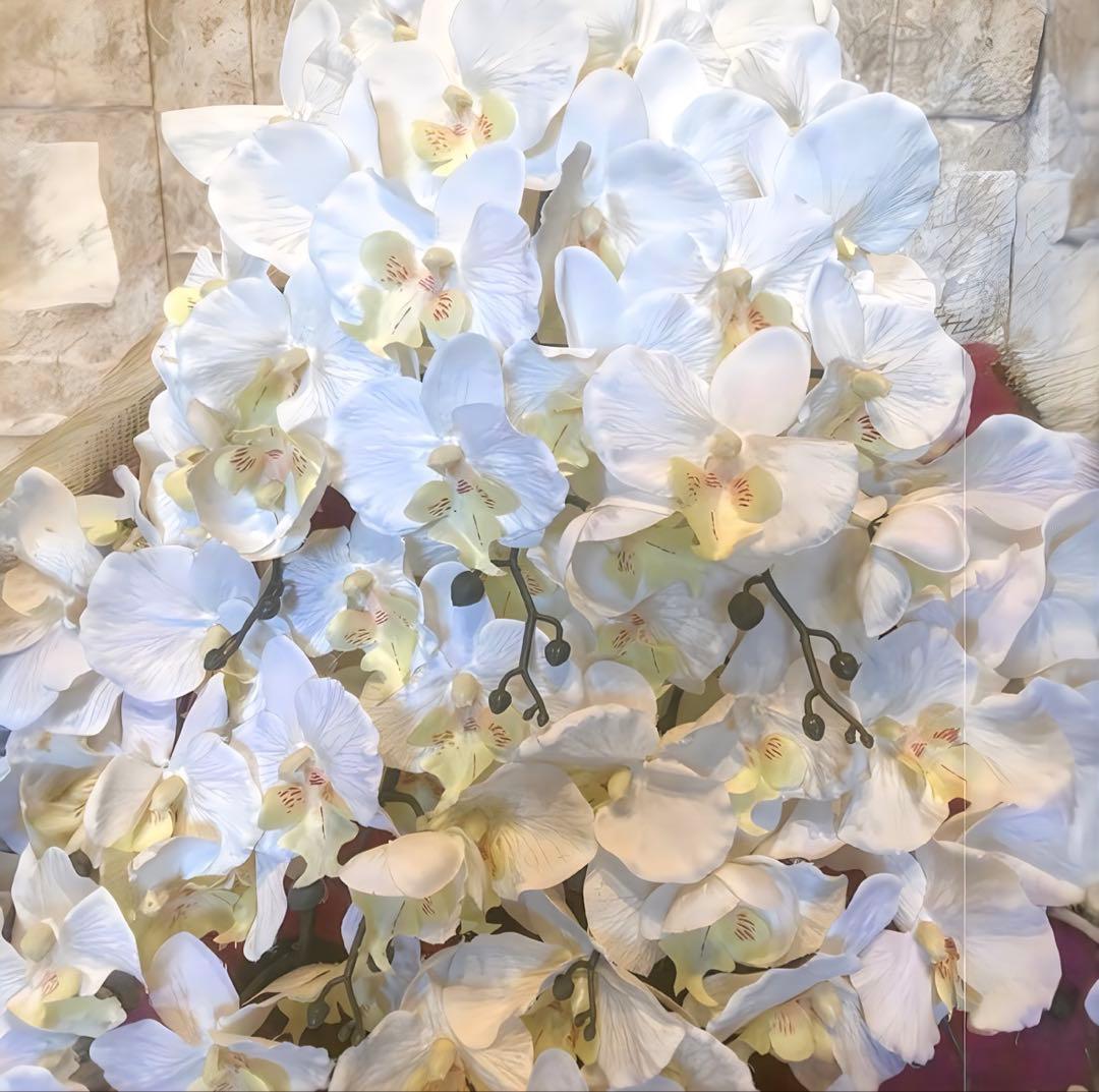 光触媒　人工観葉植物　ウォールグリーン　フェイクグリーン　胡蝶蘭１０本立て札付