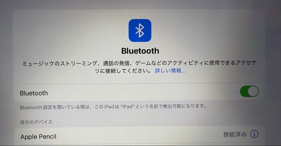 Apple Pencil アップルペンシル 第2世代 MU8F2J/A