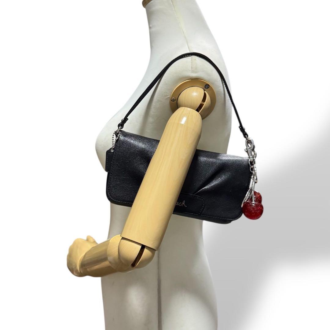 バッグ Coach Y2K Poppy Leather Accessory Pouch