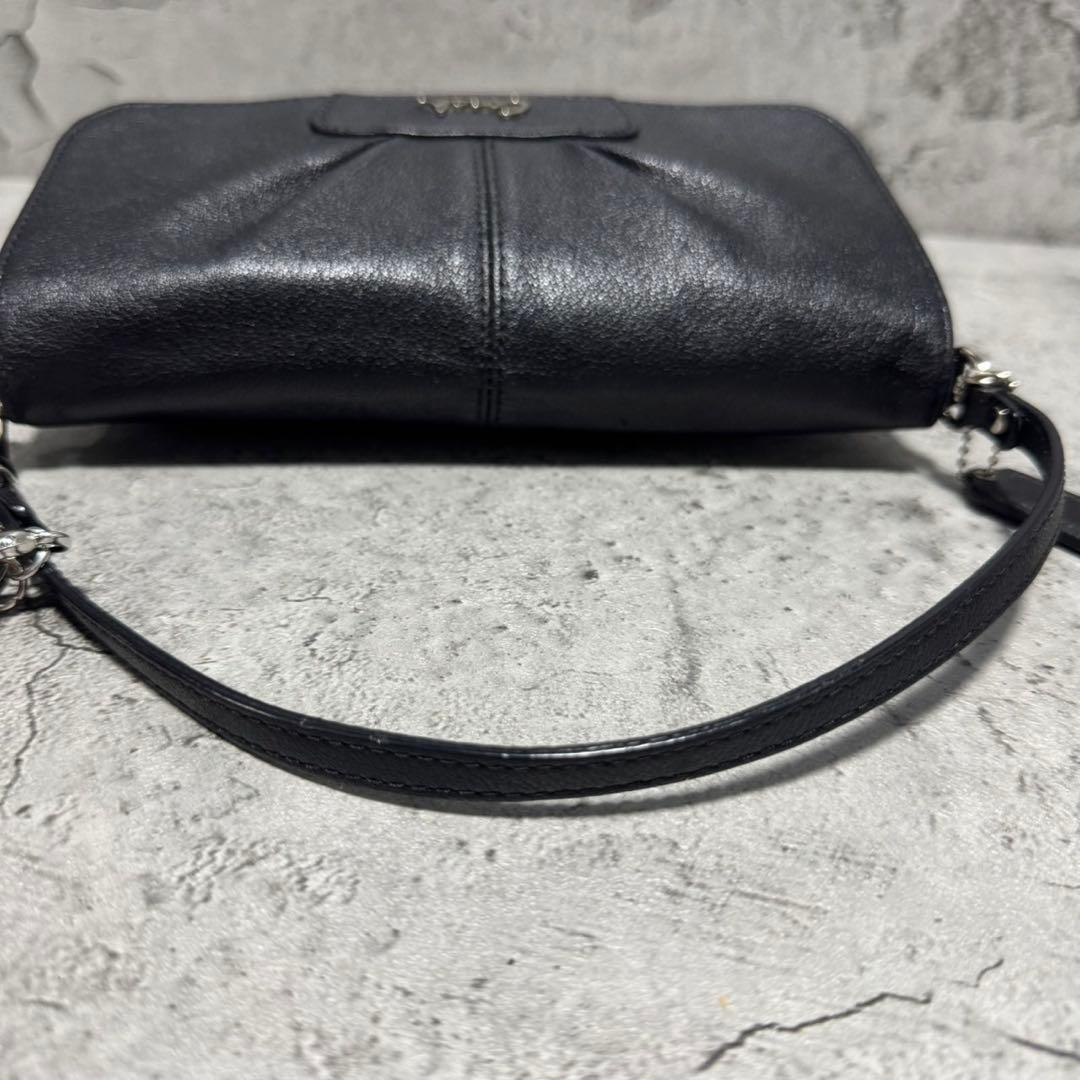 バッグ Coach Y2K Poppy Leather Accessory Pouch