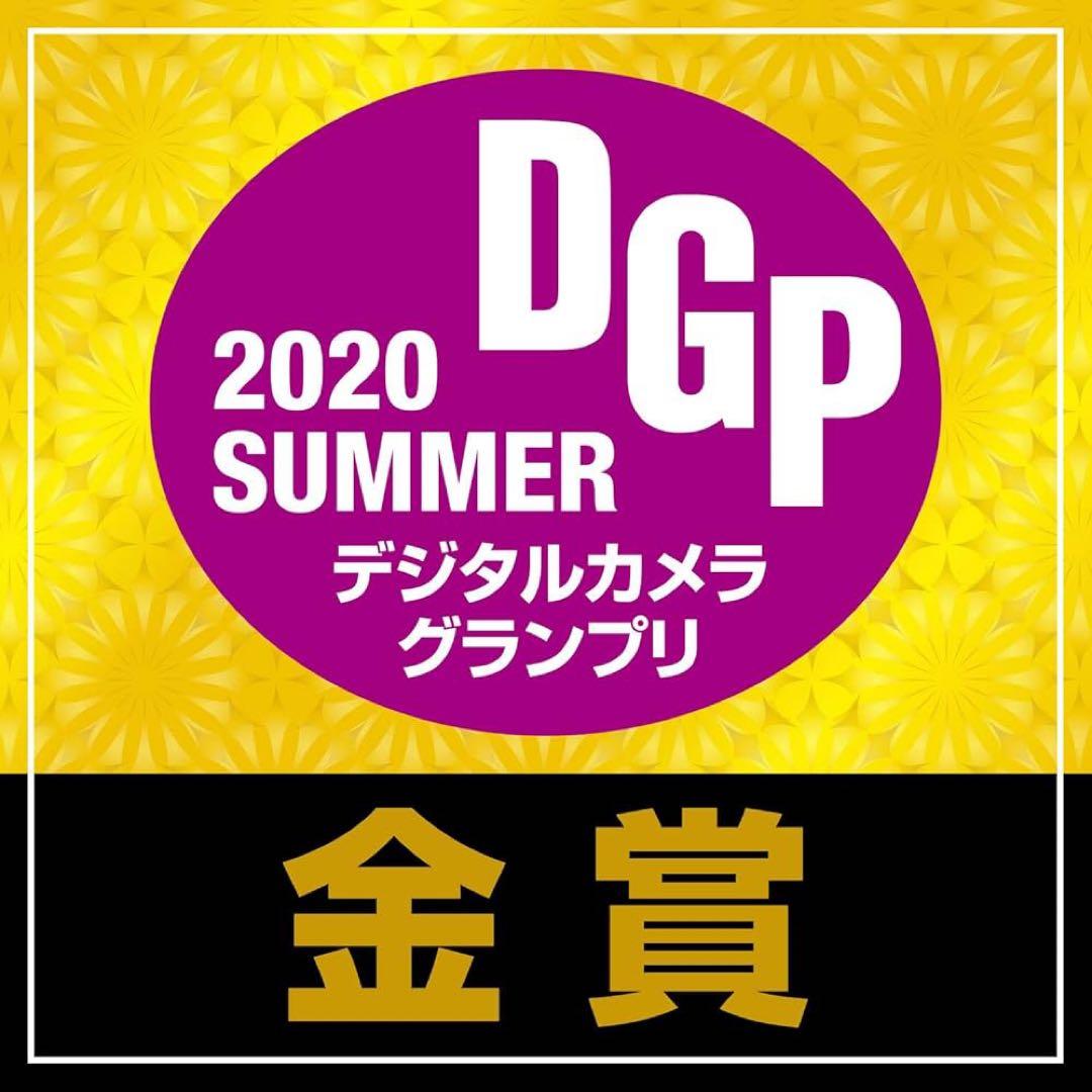 Nikon 広角ズームレンズ AF-P DX NIKKOR 10-20mm