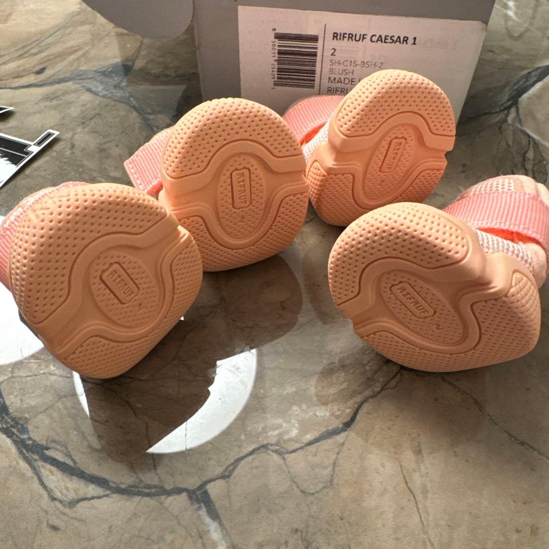 RIFRUF CAESAR 1サイズ2 犬用スニーカー