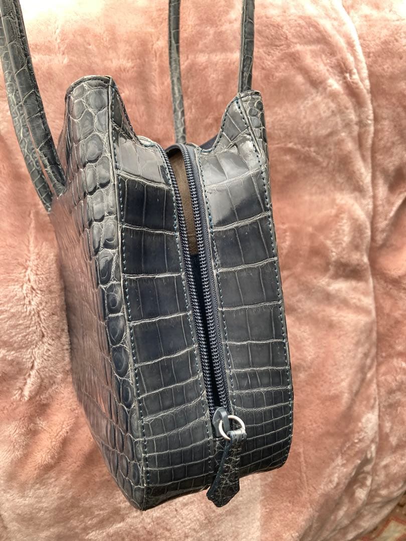 シャイニングクロコダイル　バッグ