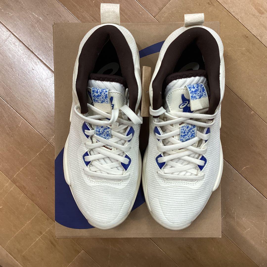 シューズ(男性用) NOVA SURGE 3 750 25.0cm