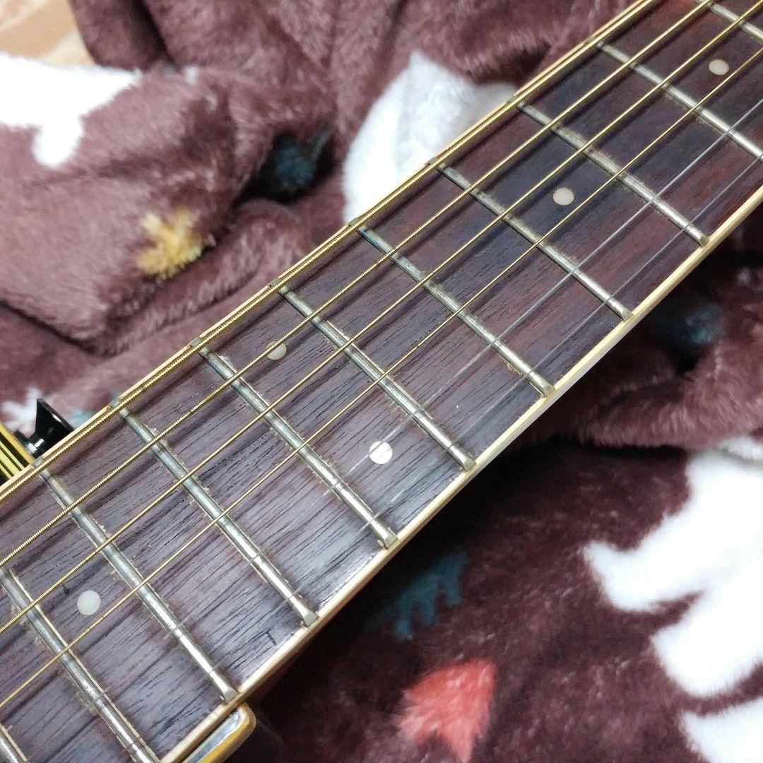 【AN13】Applause by Ovation アプローズ オベーション