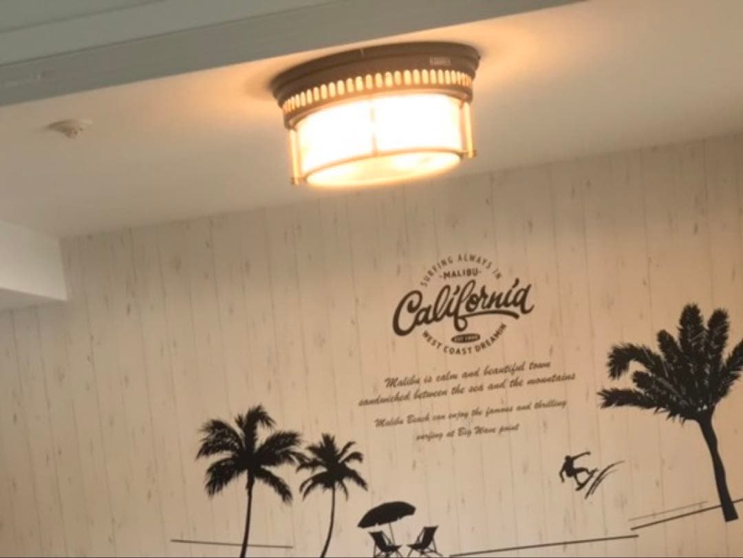 ジャーナルスタンダードファニチャー/ロチェスターシーリングライト