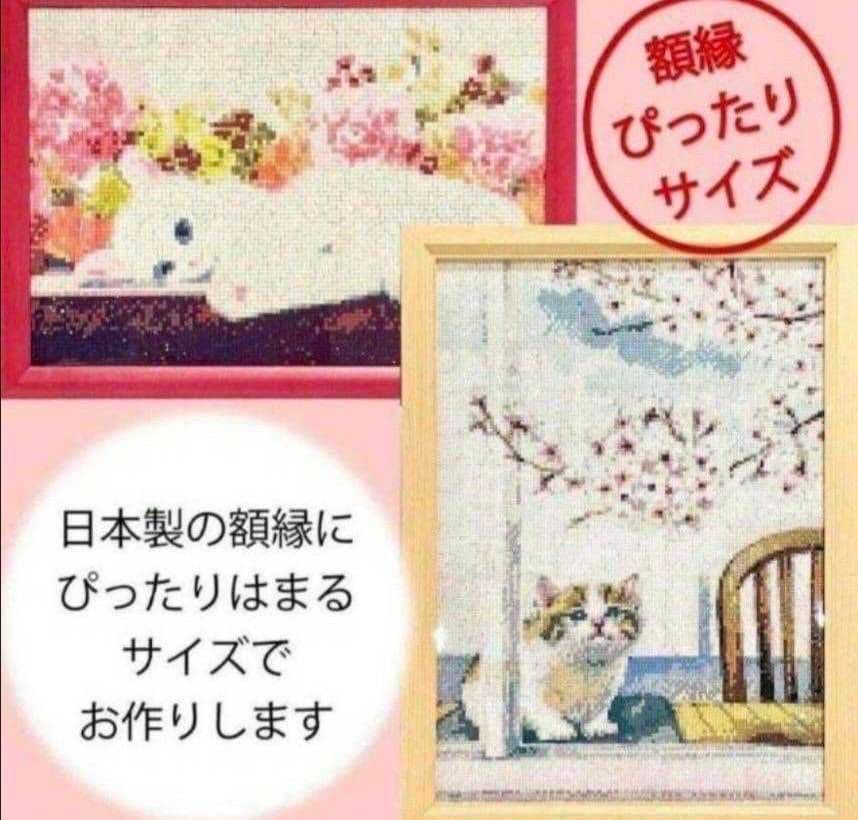 はるか☆
