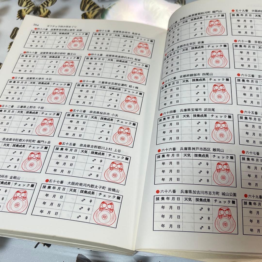 ギフチョウ　ドイツ箱入り