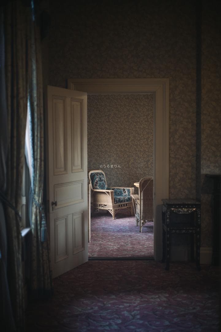 奇抜な銀レンズ！東京光学 Topcor 50mm F3.5 オールドレンズ